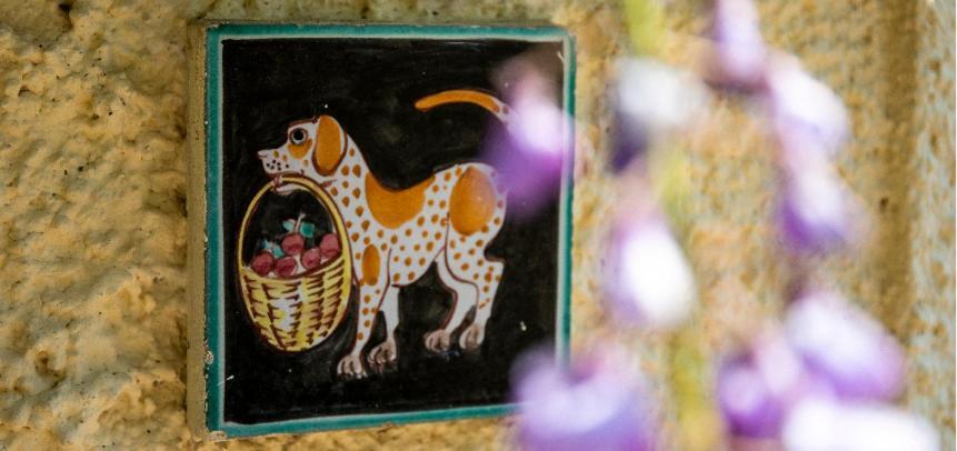 Alloggio Per Uso Turistico Sant'Andrea Lariano Εξωτερικό φωτογραφία